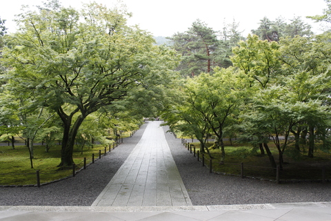 a0023466_23353839.jpg