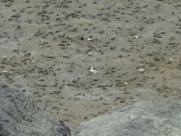c0245666_1913946.jpg