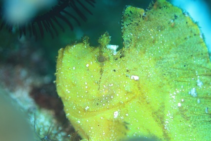 a0108380_15425156.jpg