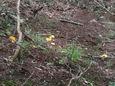 c0145582_14505026.jpg