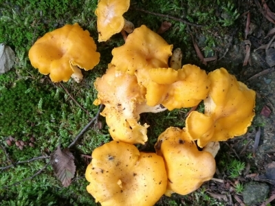 c0145582_14505675.jpg