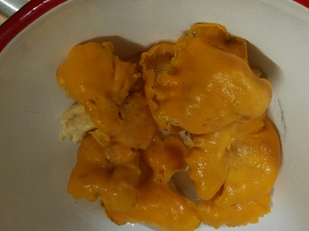 c0145582_14510081.jpg