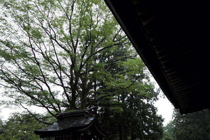 b0339488_18253941.jpg