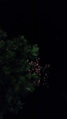 e0239190_692917.jpg