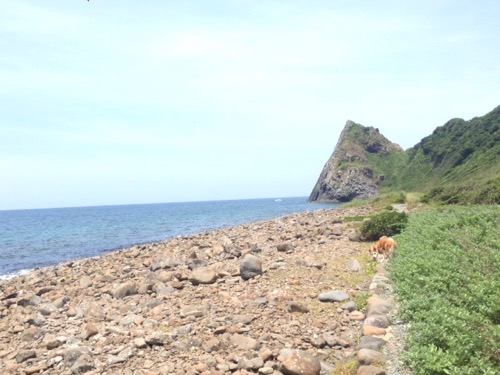 夏を楽しんでますか?_f0232994_1611472.jpg