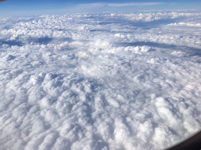 a0050302_13305823.jpg