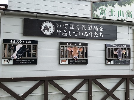 富士宮「いでぼく」熱血代表と面談!_d0050503_8161523.jpg