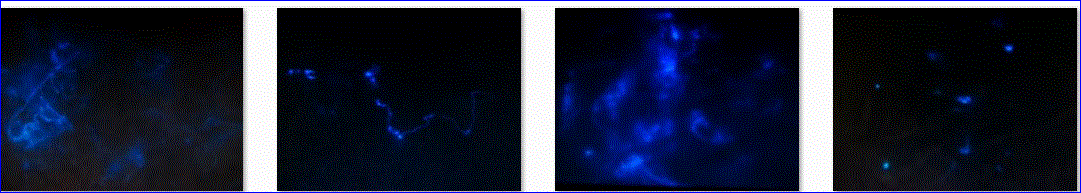 f0231709_2049212.gif