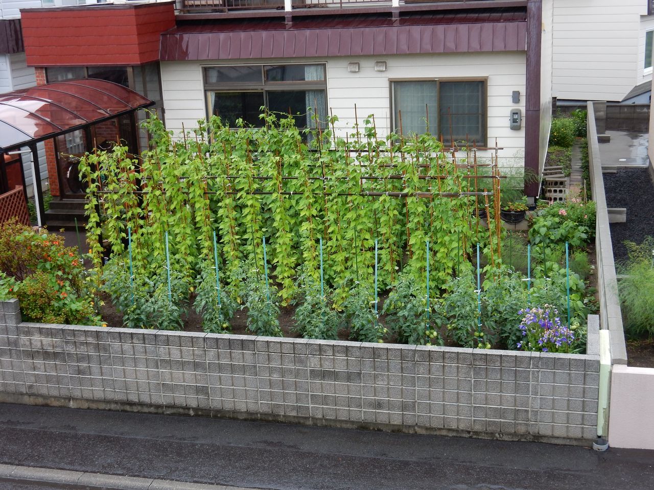朝から雨_c0025115_20391854.jpg