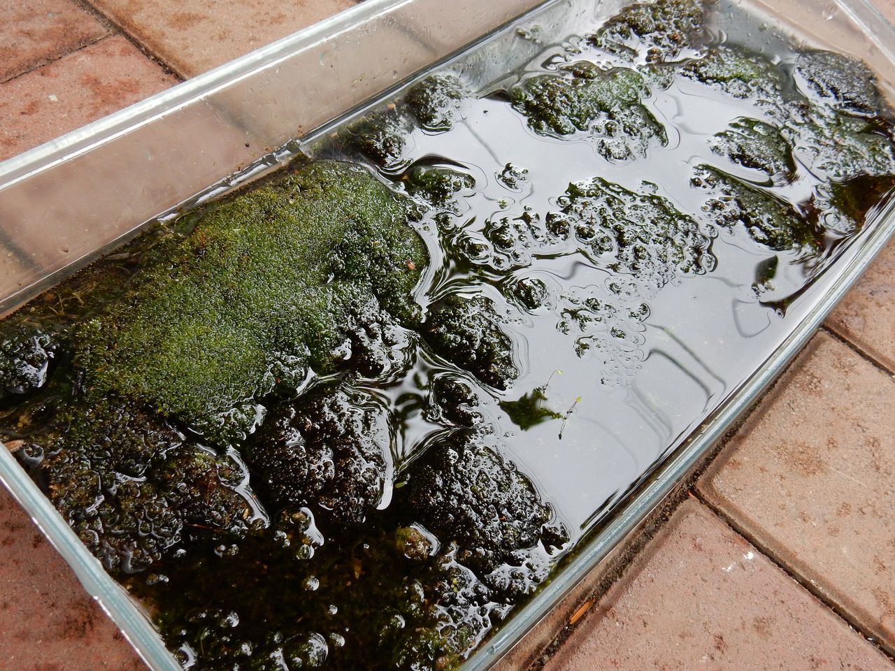 朝から雨_c0025115_20420494.jpg