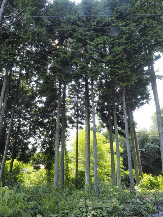 安芸津町の風景_c0116915_23422799.jpg