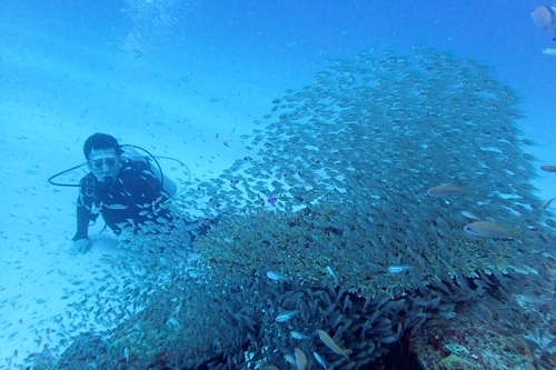 水納島が気持ちいイイ～_b0158923_15520363.jpg