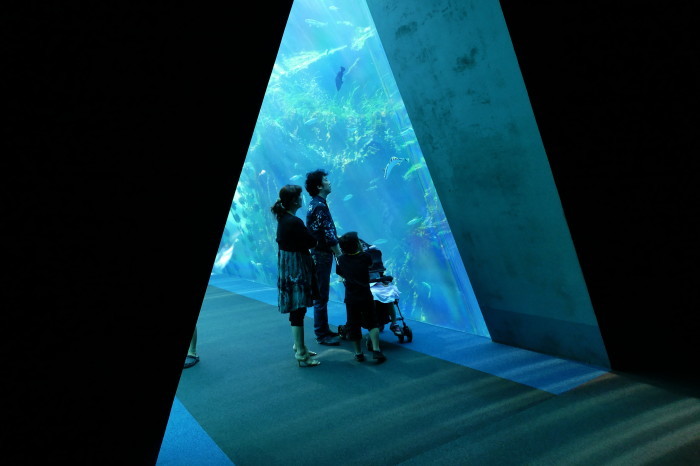 福島県いわき市 アクアマリンふくしま 水族館 フォトハウス In 福島 福島県いわき市 アクアマリンふくしま 水族館 フォトハウス In 福島