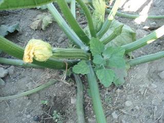 d0269832_09421998.jpeg