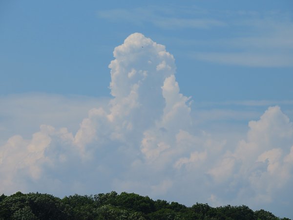 2016年7月29日　湧き立つ夏雲_b0341140_20231198.jpg