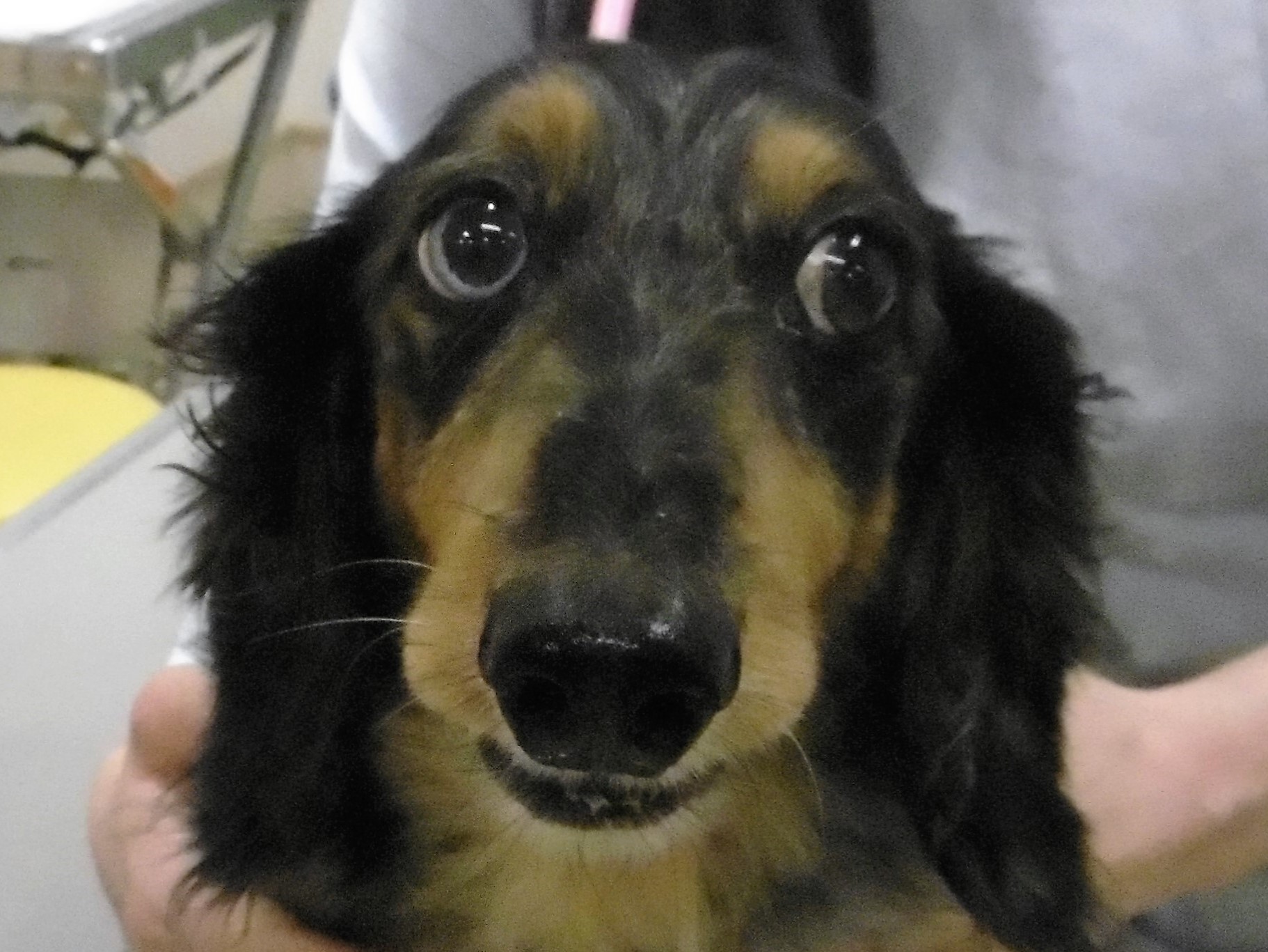 c0174644_1152043.jpg