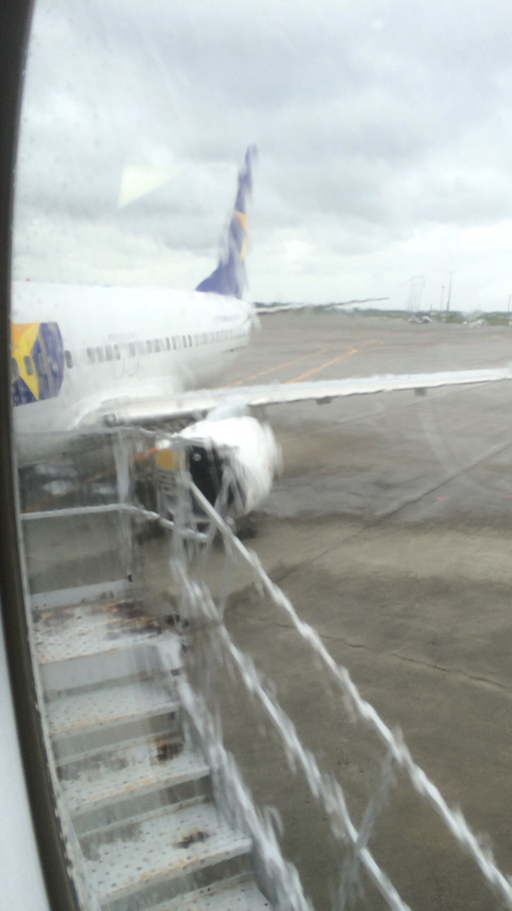 |ω･`)_a0120654_09015353.jpg