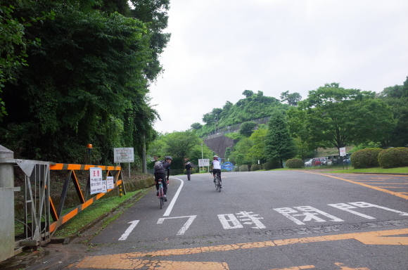 a0232368_05175451.jpeg