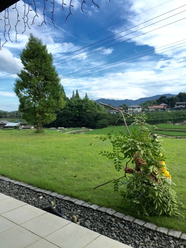 d0183368_07551058.jpeg
