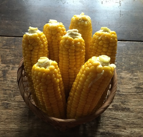c0225169_02520510.jpeg