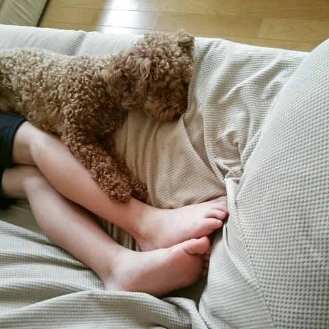 c0311170_07475112.jpg