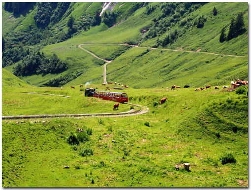 登山列車でロートホルンの山頂へ_a0259275_21432637.jpg