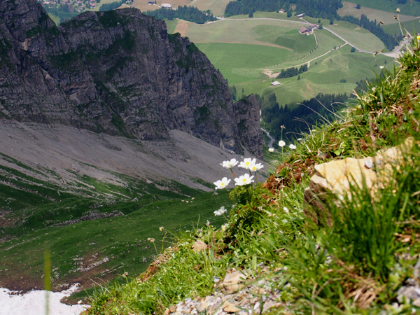a0259275_21455395.jpg