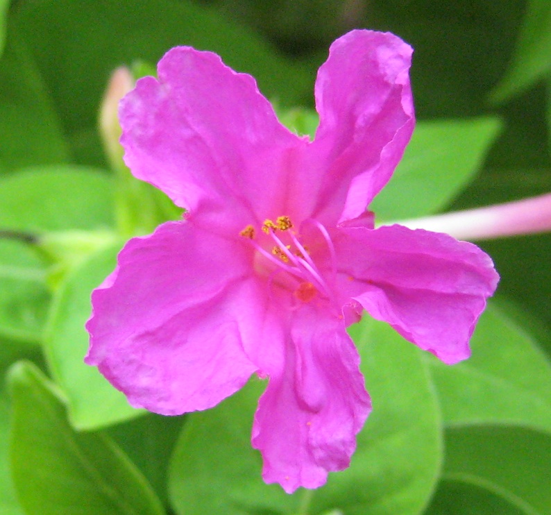 b0057679_74849.jpg