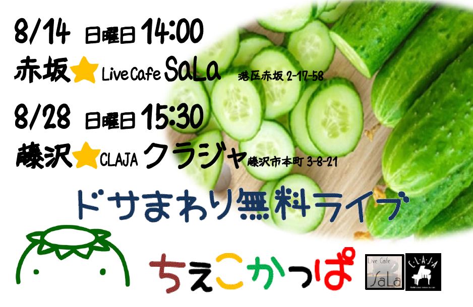 ちぇこかっぱ  8月にドサ回りライブ　来てね！_a0163788_222379.jpg