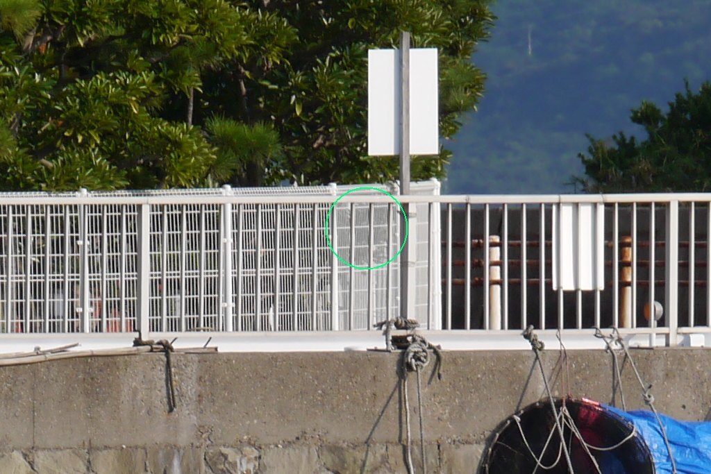 b0174191_20312237.jpg