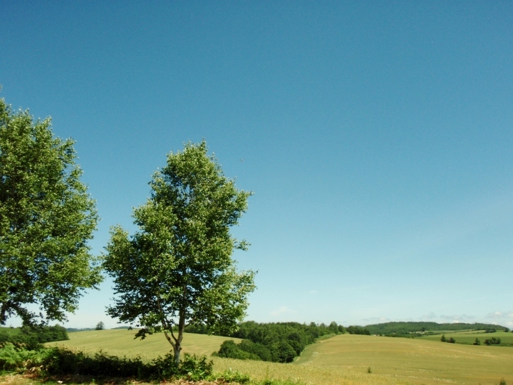 d0318191_17430409.jpg