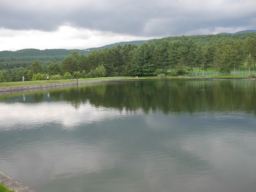 c0090198_2172642.jpg