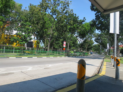 c0212604_5502632.jpg