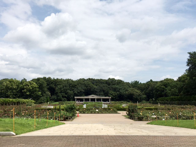 神代植物公園_e0208519_16473298.jpg