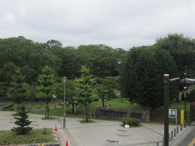 d0162225_10199.jpg
