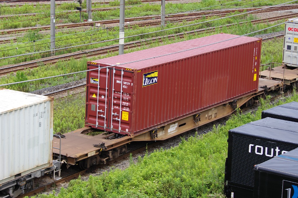 f0203926_0354586.jpg