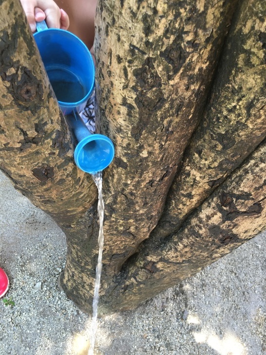 b0142227_17114219.jpeg