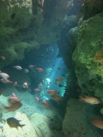 7月28日水納島&ファミリー海遊び♪_c0070933_22135257.jpg