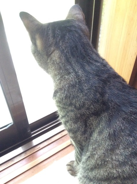 a0307846_10424394.jpeg