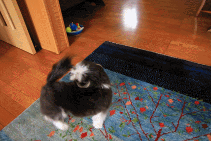 c0145250_10593876.gif
