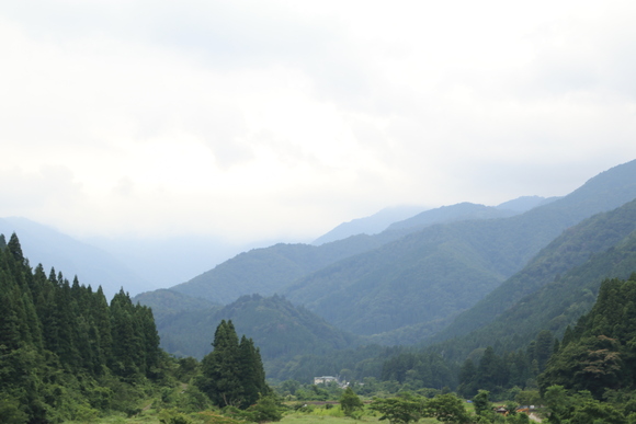 能郷白山 絶景・・_d0202264_11385371.jpg