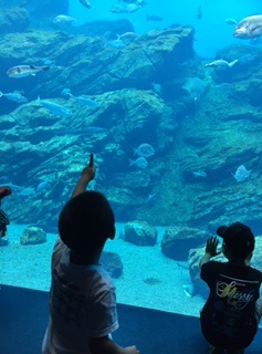 仙台うみの杜水族館_e0050579_12451134.jpg