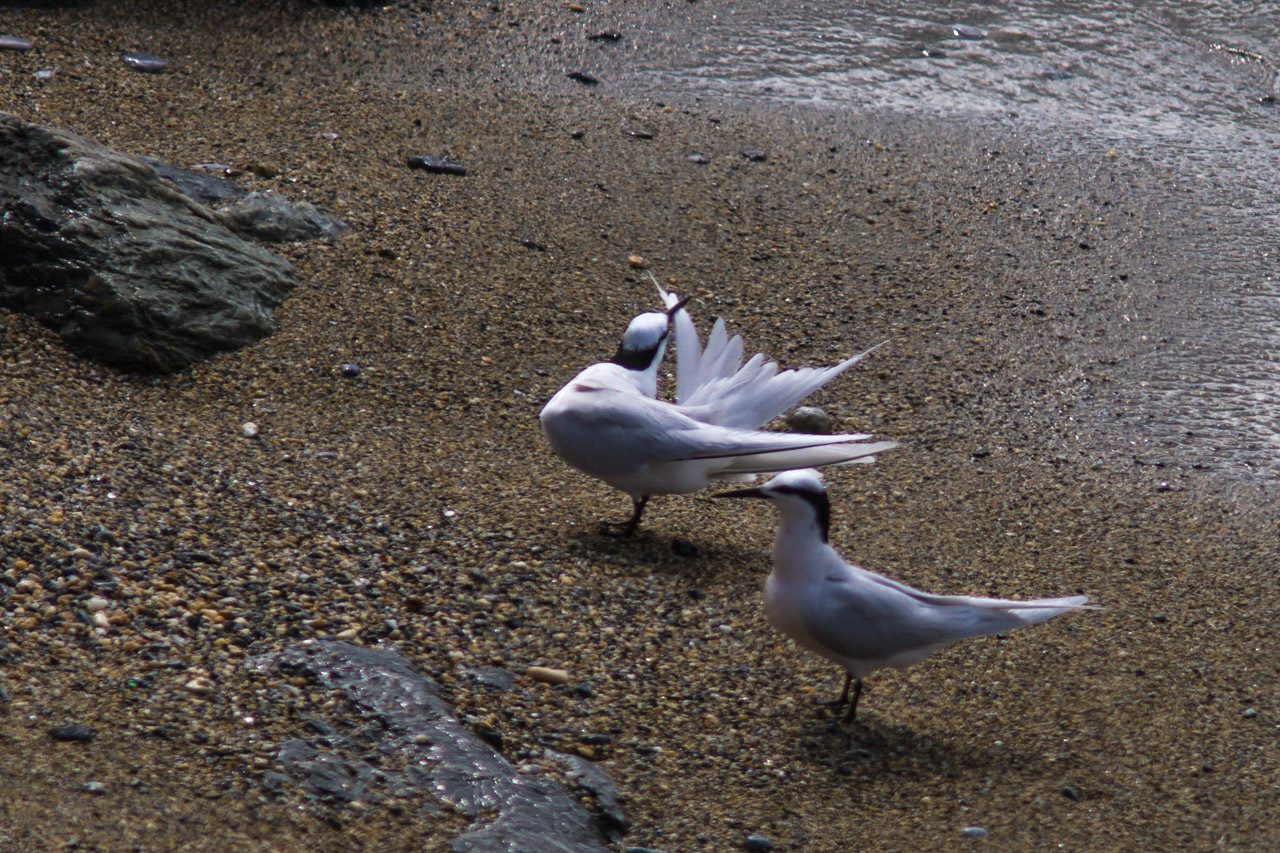 a0052080_21515595.jpg