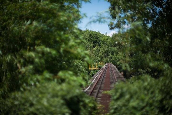 二度と列車が渡らない鉄橋_d0353489_21115758.jpg