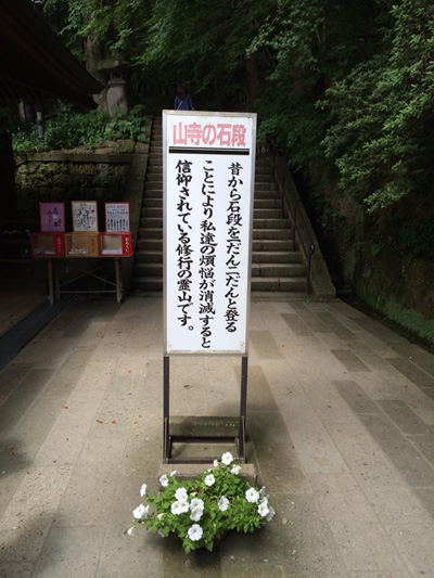 自転車競技・EQAS(エキップアサダ)・渡邉 歩(わたなべ あゆむ)選手を金栄堂サポート!_c0003493_17272267.jpg