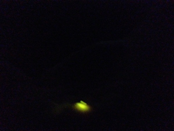 d0134102_16401079.jpeg