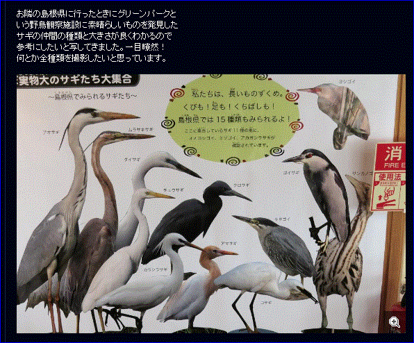 f0231709_0432410.gif