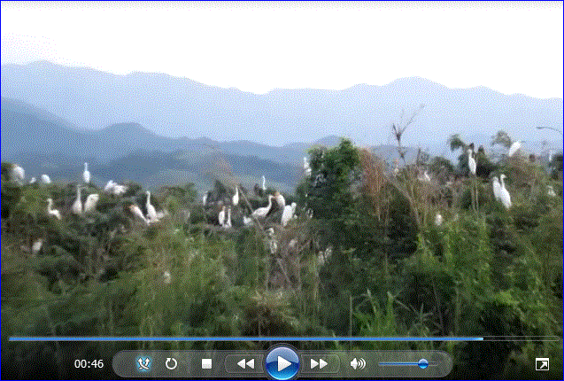 f0231709_0473014.gif