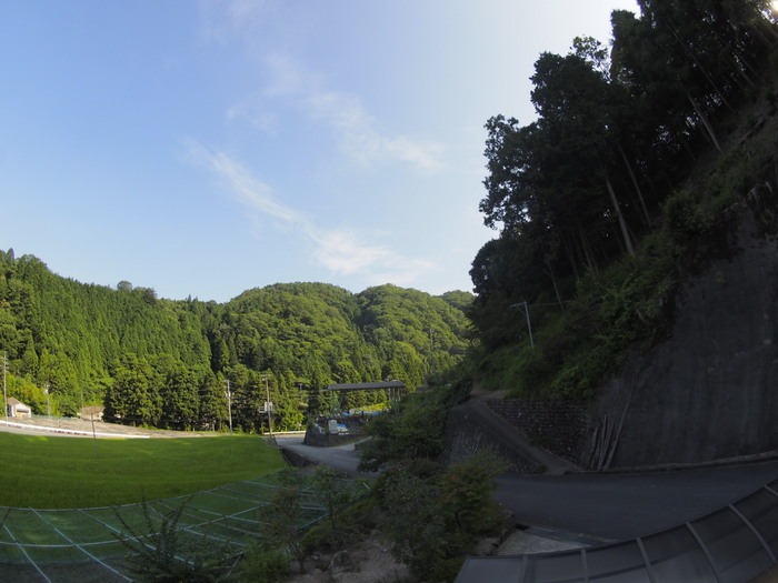晴れた!_c0116915_02634.jpg