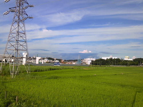 b0285619_18722.jpg